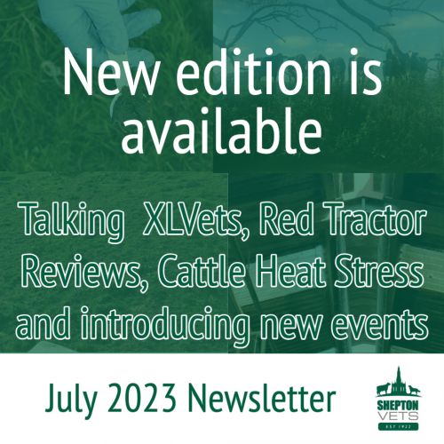 New farm newsletter edition available 