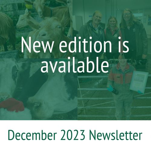 December 2023 Newsletter available
