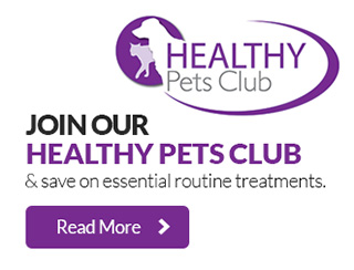 Healthy Pets Club