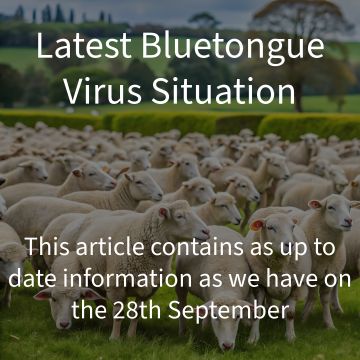 Latest Bluetongue Virus Situation...