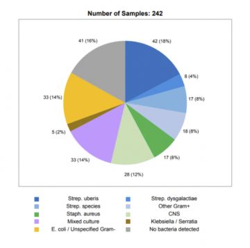 Shepton Vets: Insights into Mastitis...