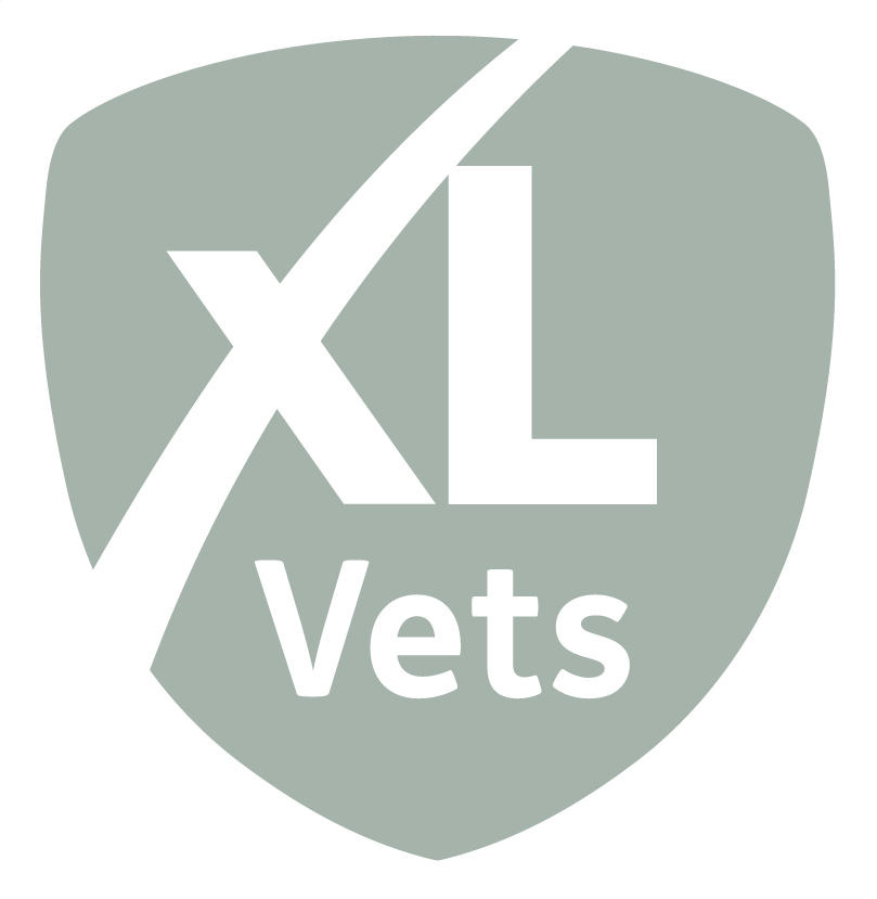 XLVets main logo