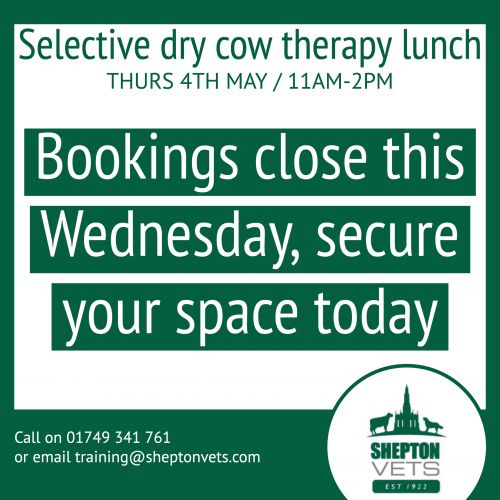 The selective dry cow therapy lunch and learn