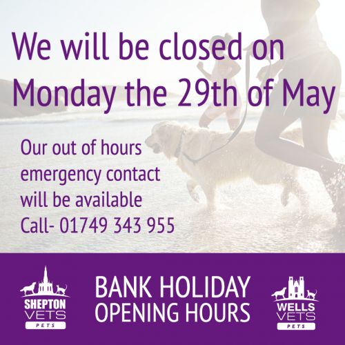Bank holiday opening hours