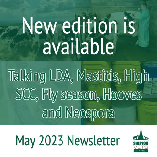 May 2023 Newsletter is available to download
