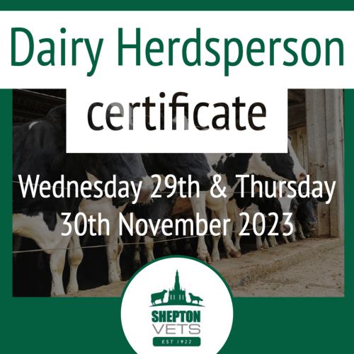 Dairy Herdsperson certificate
