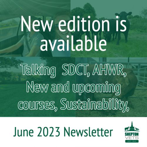 New Edition - June 2023 Newsletter available 