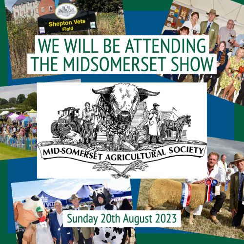 WE WILL BE ATTENDING THE MIDSOMERSET SHOW 