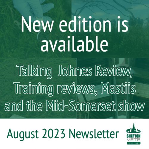 August 2023 Farm Newsletter available now