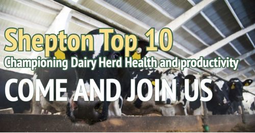 Shepton Top 10: Championing Dairy Herd health and Productivity