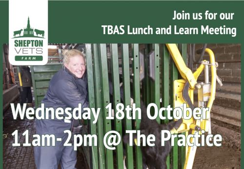 Join us for our TBAS Lunch and Learn