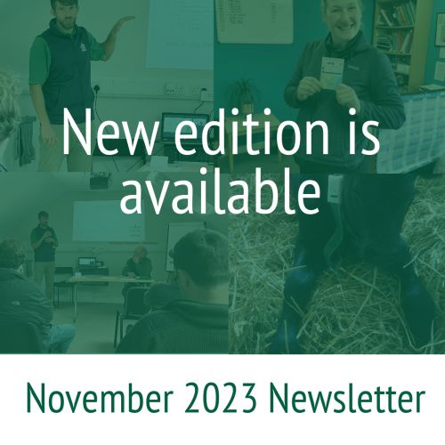 November Newsletter Available Now