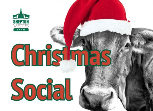 Farm Clients Christmas Social