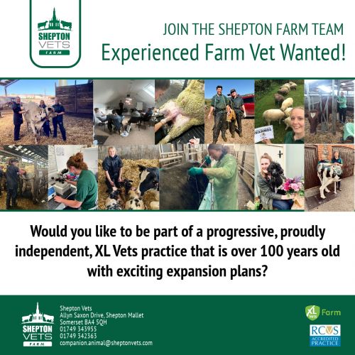 We are looking for an experienced Farm Vet