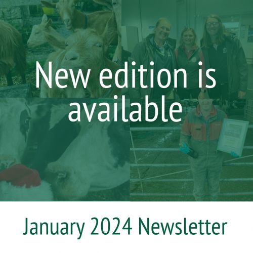 January 2024 Newsletter available 