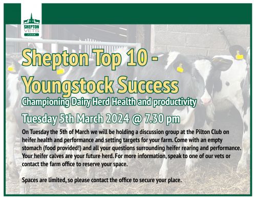 Pilton Top 10 - Youngstock Success