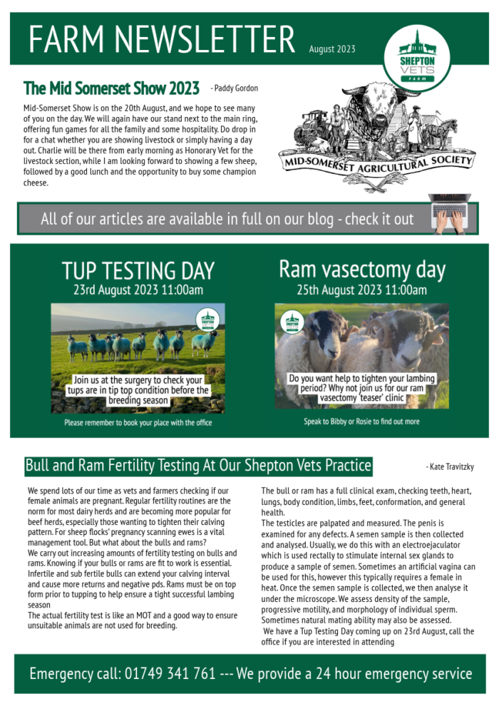 August 2023 Farm Newsletter