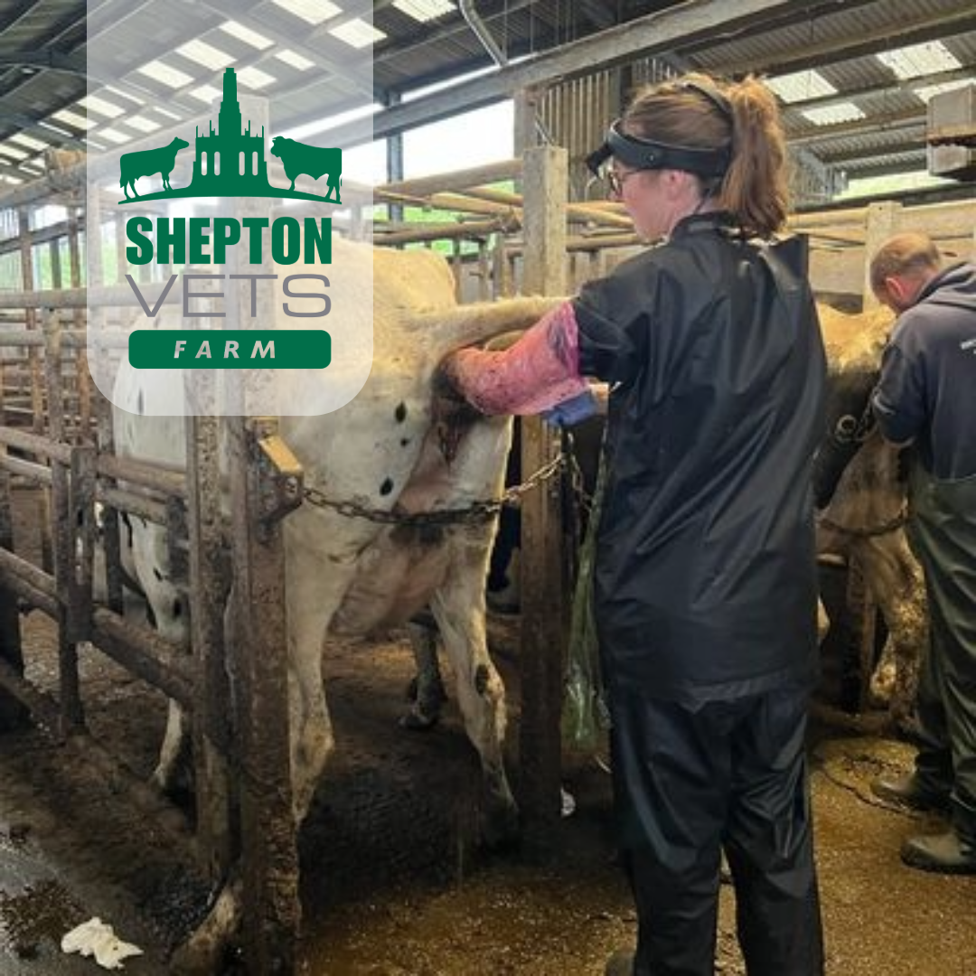 30th Oct – 1st Nov full AI Course