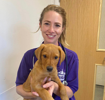 Shepton and Wells vets - Rosy with a puppy