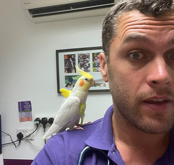 Shepton and Wells vets - Greg with a pet bird