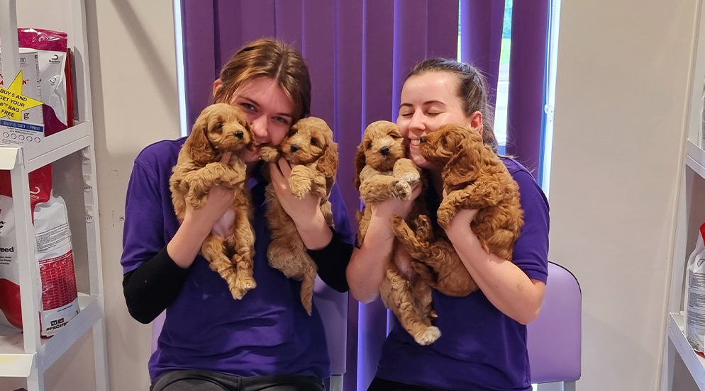 Shepton and Wells vets - Eloise and Rachel with puppies