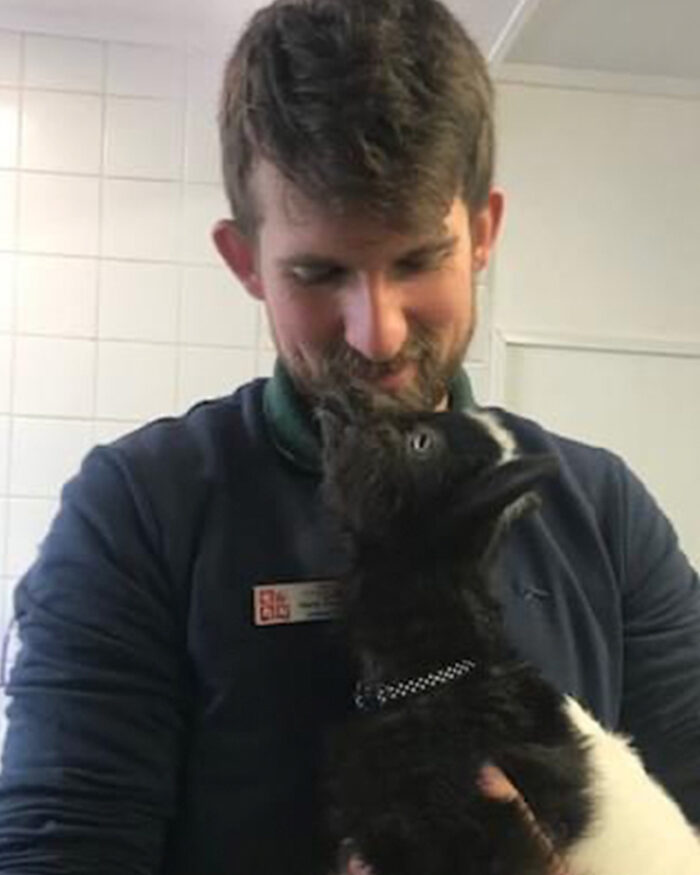 Auditing: How We’re Making Farm Surgery Better
