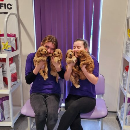 Eloise and Rachel with Puppies