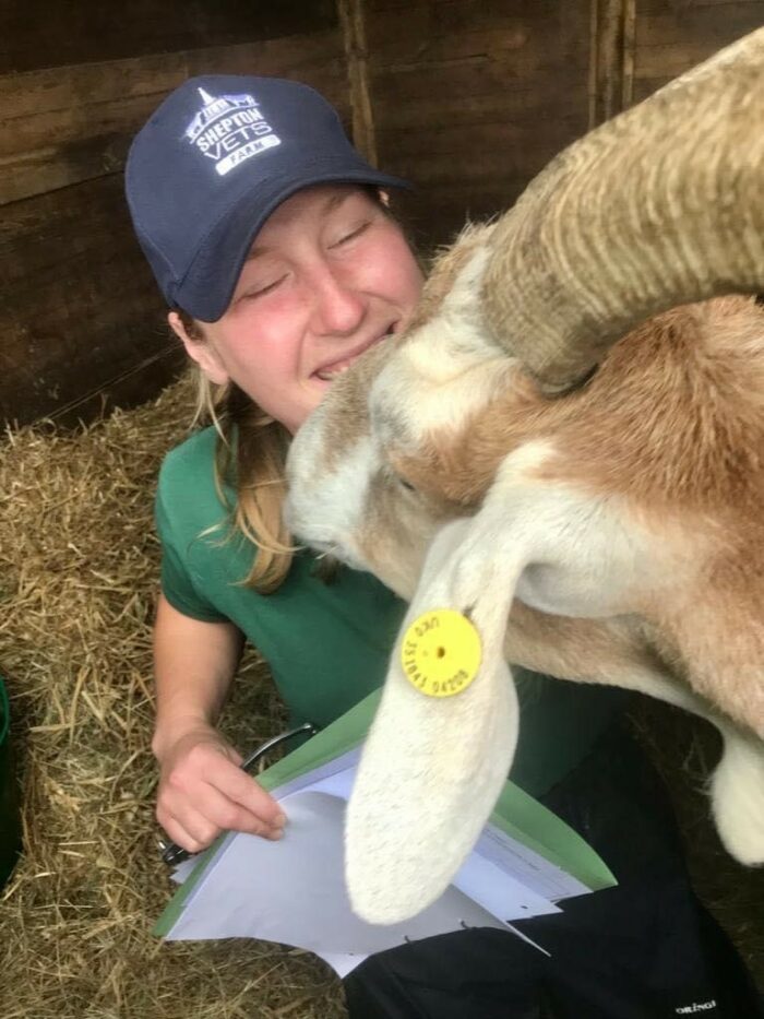 Optimal Health for Your Goats: A Comprehensive Guide to Parasite Management