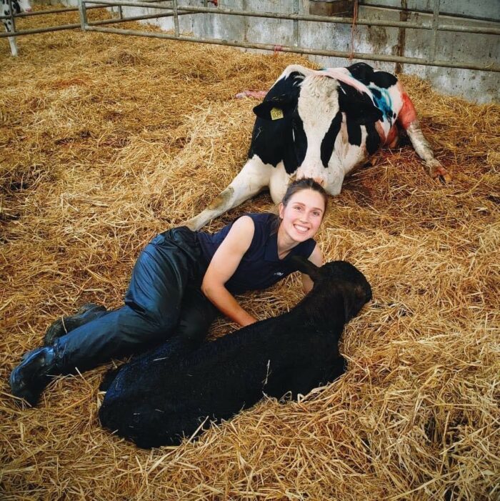 Combating Pneumonia in Calves