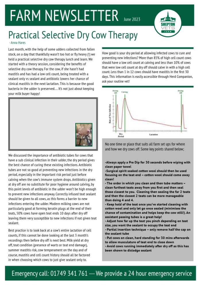June 2023 Farm Newsletter