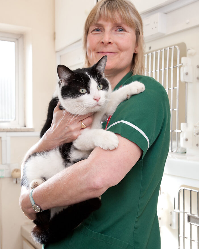 Veterinary Nurse: What They Do & Why You Should Consider the Career