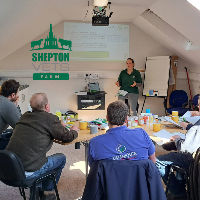 A Recap of Our ‘Mastering Medicines’ Course