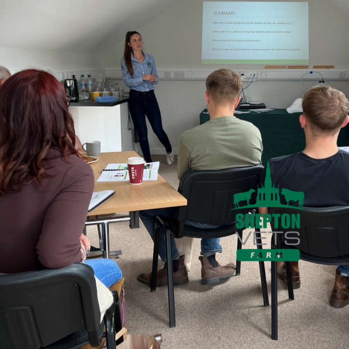 Reviewing the Intro to Calf Rearing Course