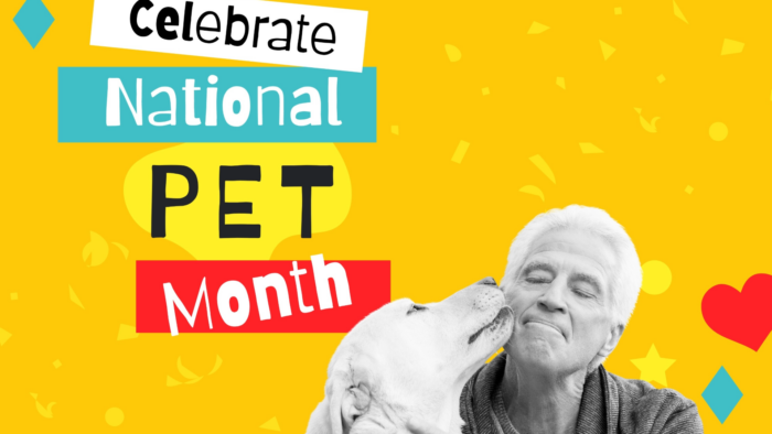 Celebrate National Pet Month: The Joys & Responsibilities of Pet Ownership