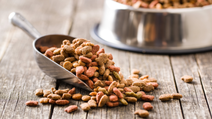 Pet Nutrition & Your Vet: Working Together for Optimal Health