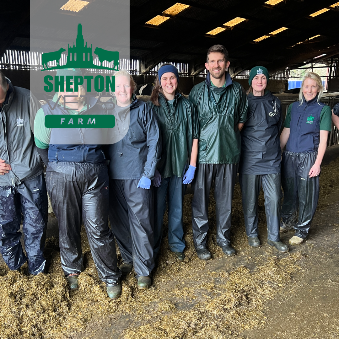 21st March Staffing masterclass