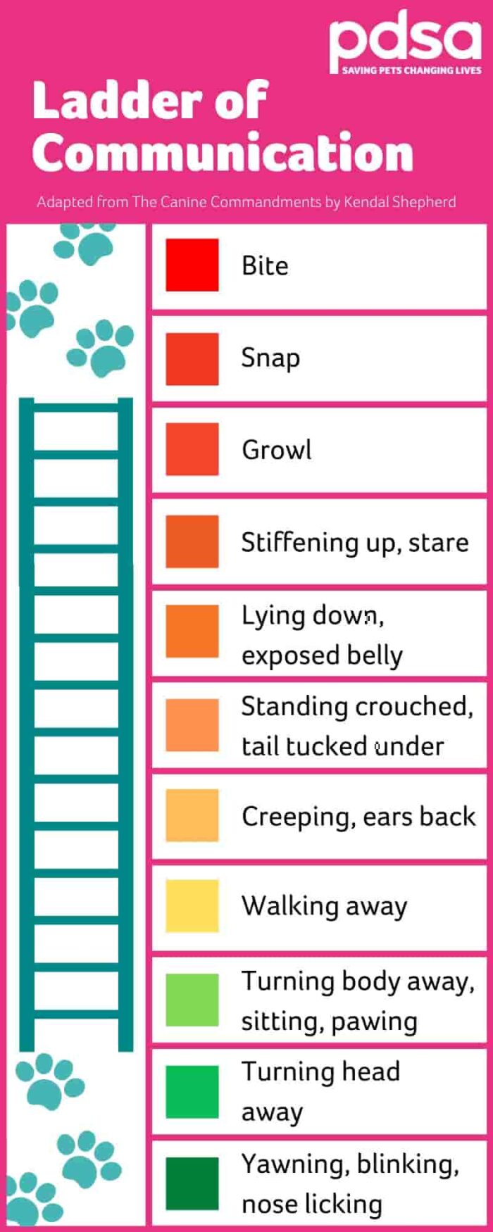 Canine Ladder of Communication: Understanding Dog Body Language