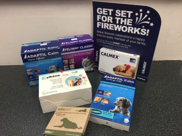 Fireworks Night & Pet Anxiety: Calming Products & Desensitisation Tips