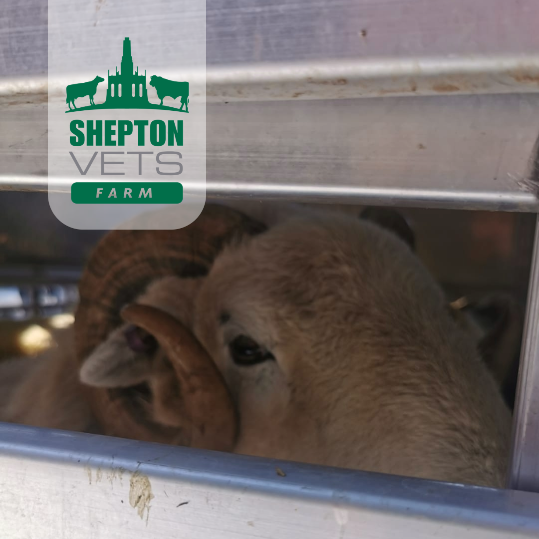 August 23rd - TUP testing day