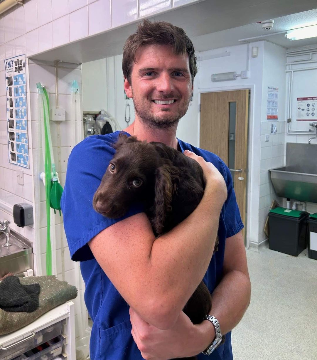 Vet Josh holding a puppy