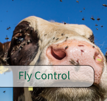 Fly control nav card