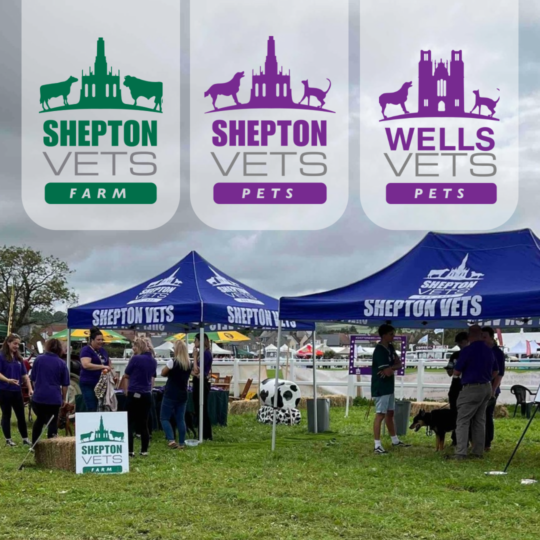 August 18th – Mid Somerset Show