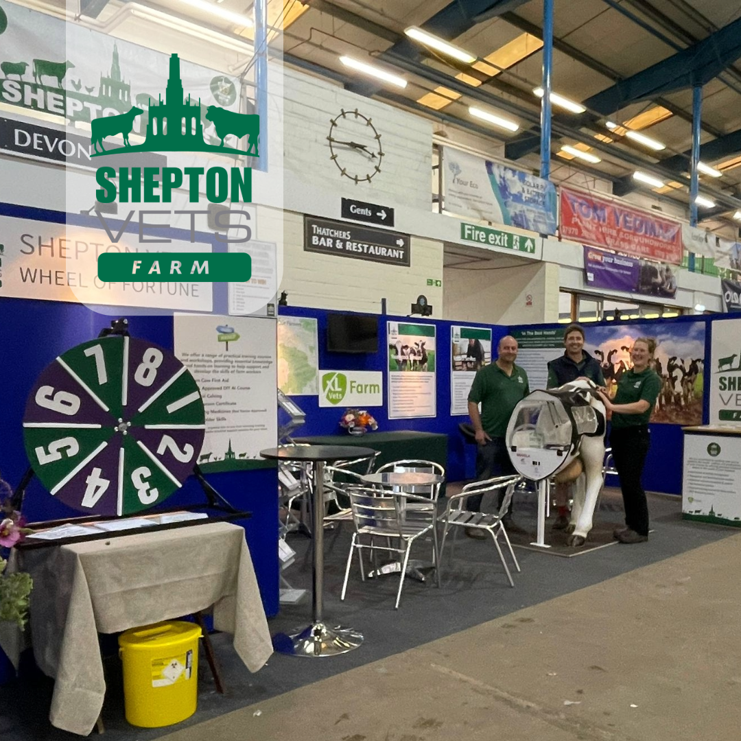 October 2nd – The Dairy Show 2024