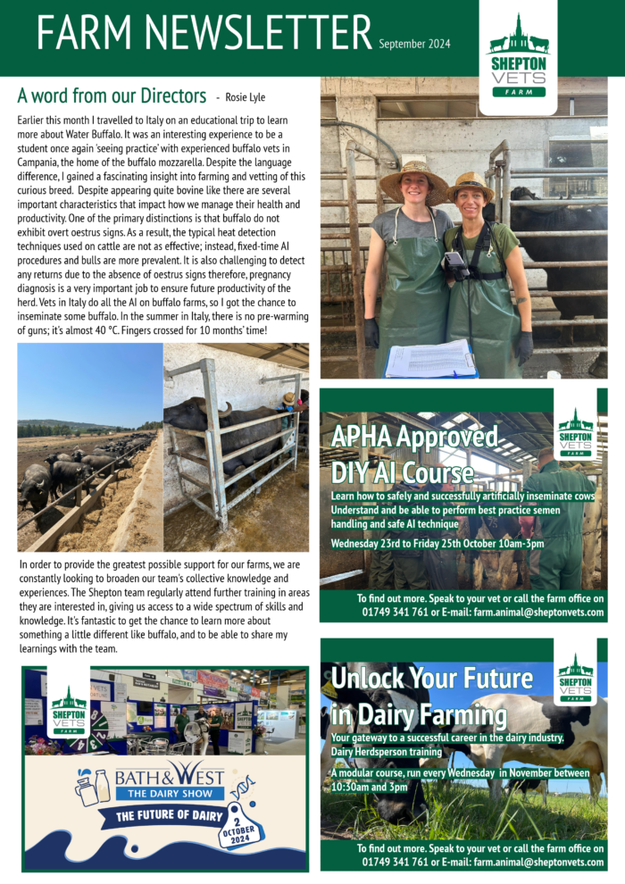 September 2024 Farm Newsletter