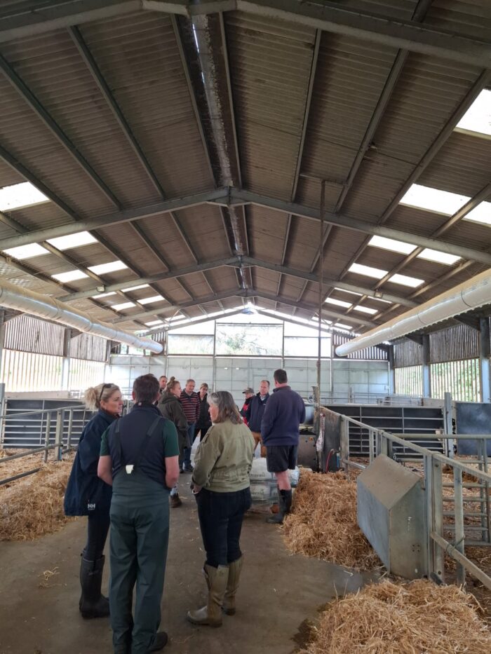 Youngstock Focus: Water Provision and Colostrum Quality