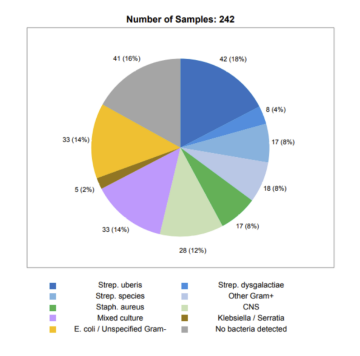 Shepton Vets: Insights into Mastitis Prevention and Treatment