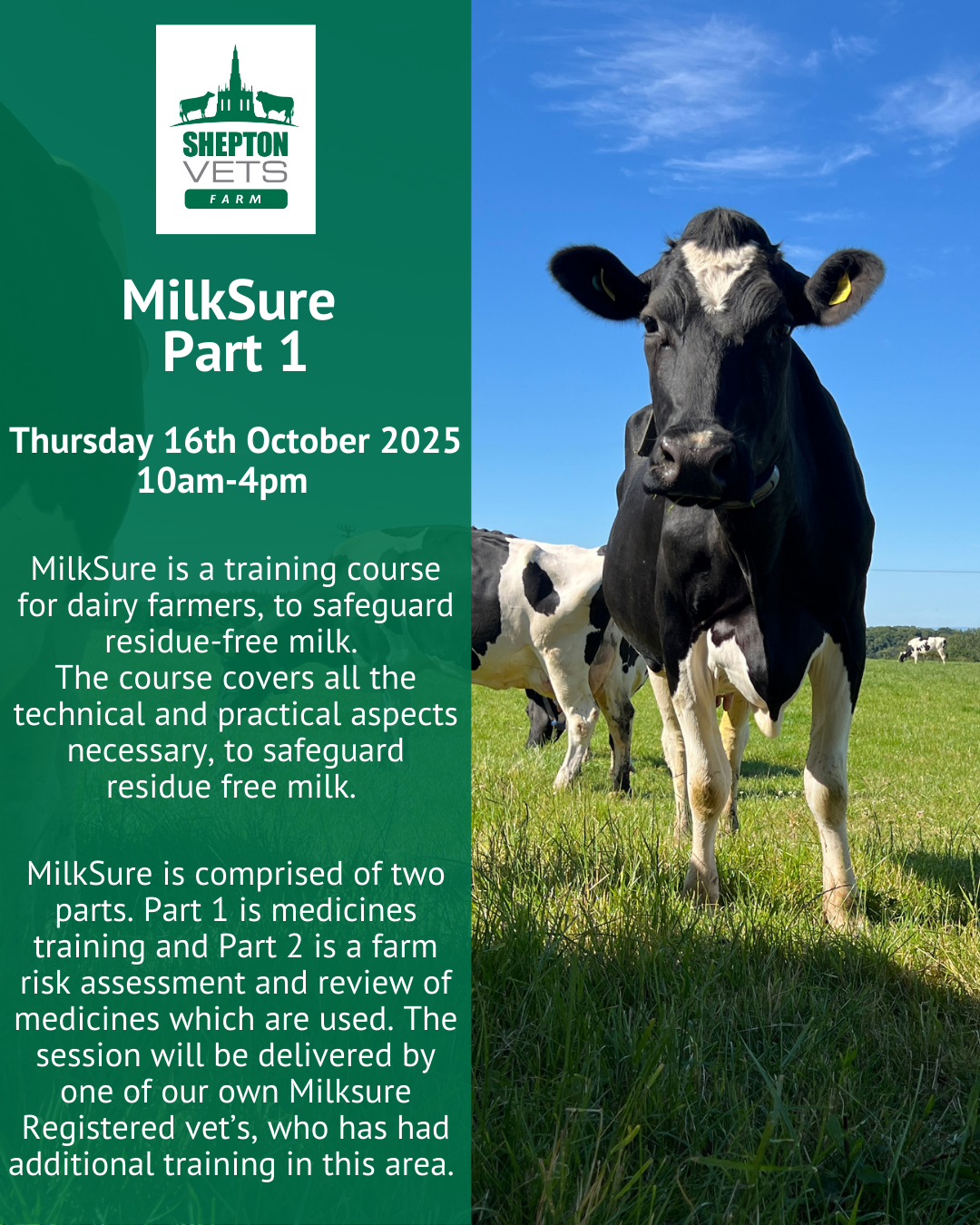 16th October – Milksure Part 1