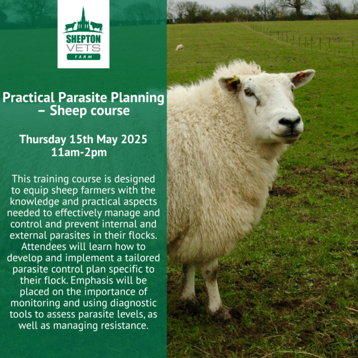 Practical Parasite Planning – Sheep course – Register your interest
