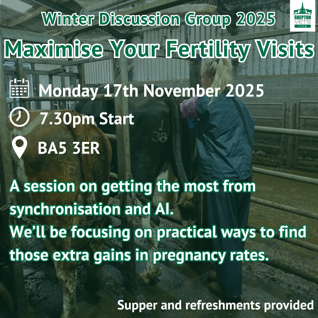 November 2025 Winter Discussion Group – Maximise your Fertility Visits