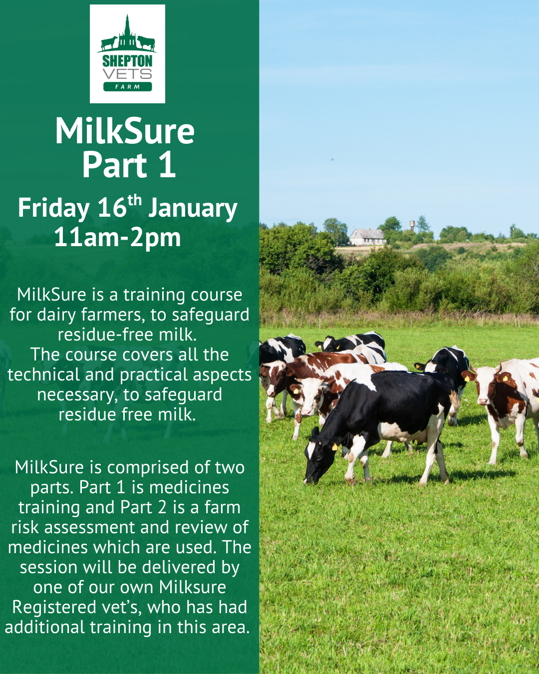 16th January – Milksure Part 1